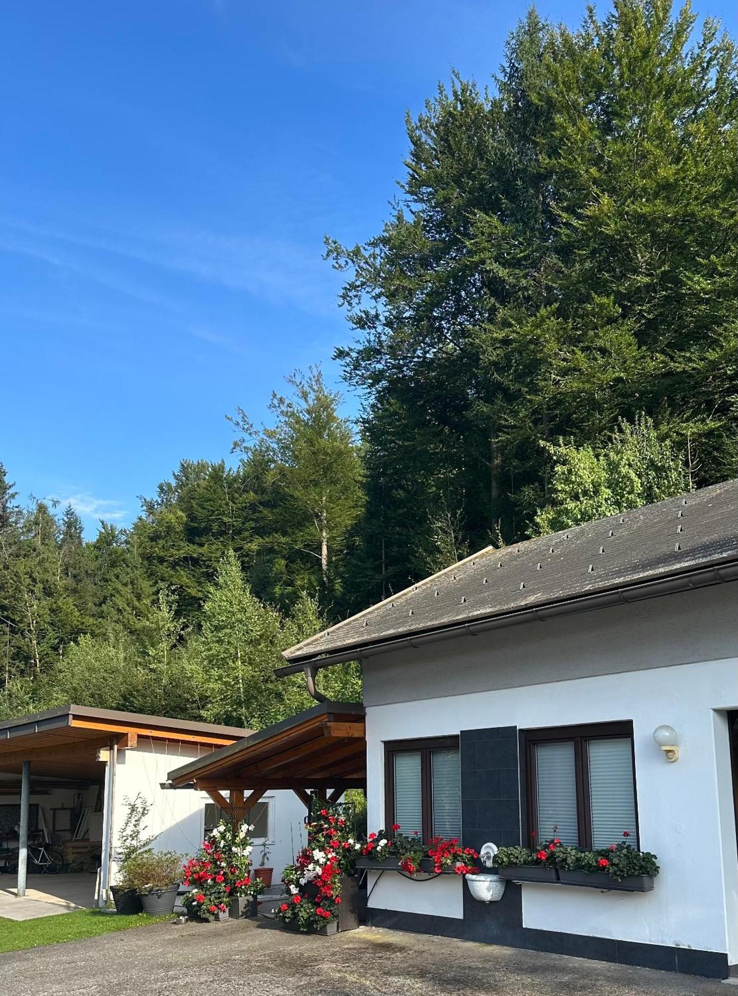 Ferienwohnung Waldblick, Faaker See Oberaichwald  Exterior foto